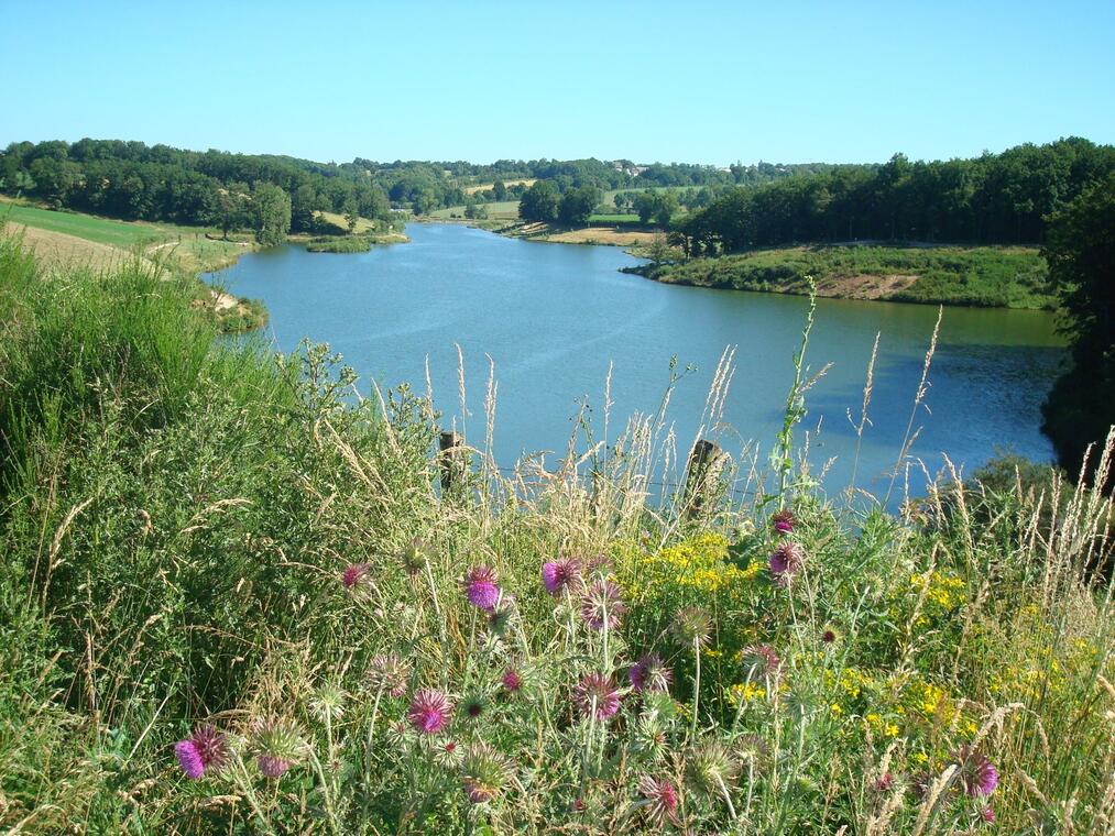 Lac de La Brienne Luc-la-Primaube.jpg