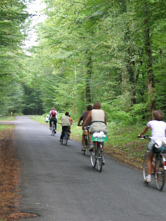 vélo route de campagne - photo OT Blois.JPG