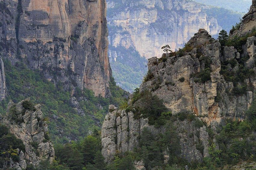 NATURE gorges cTordjman 20.jpg