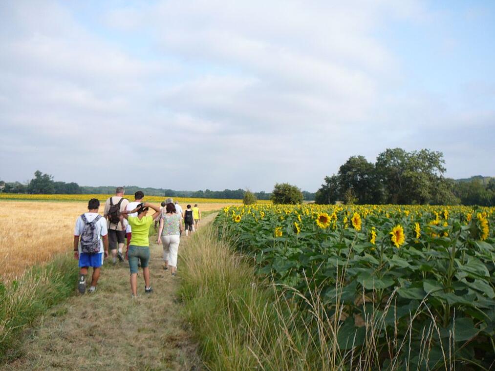 Balade nature