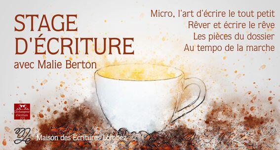 Stage d'écriture