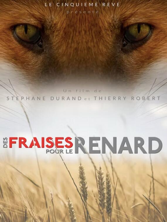 ciné débat