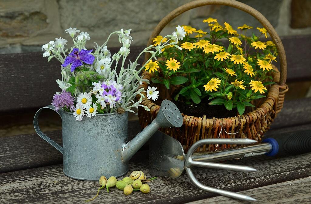 Rendez-vous au jardin