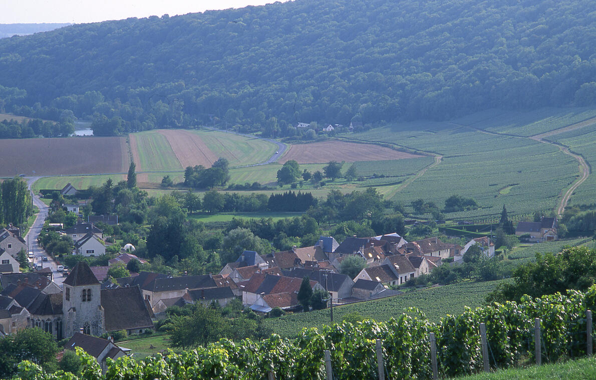 Vue sur Bonneuil