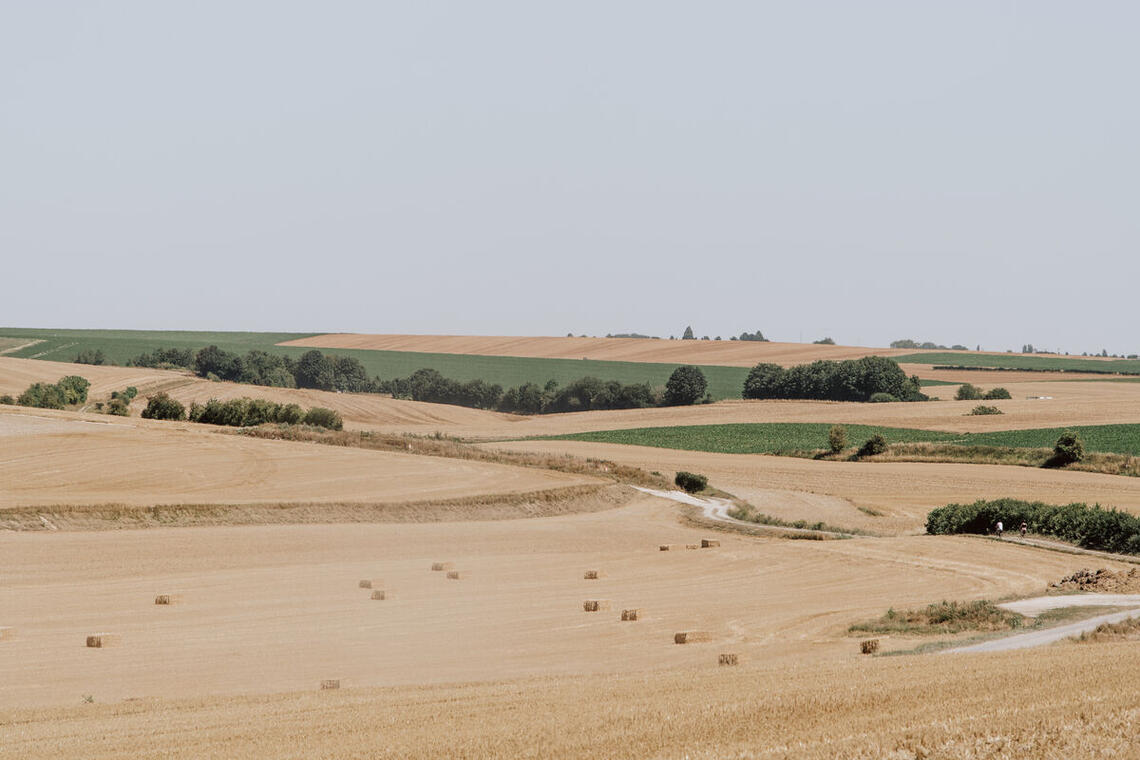 Openfields de l'Aisne