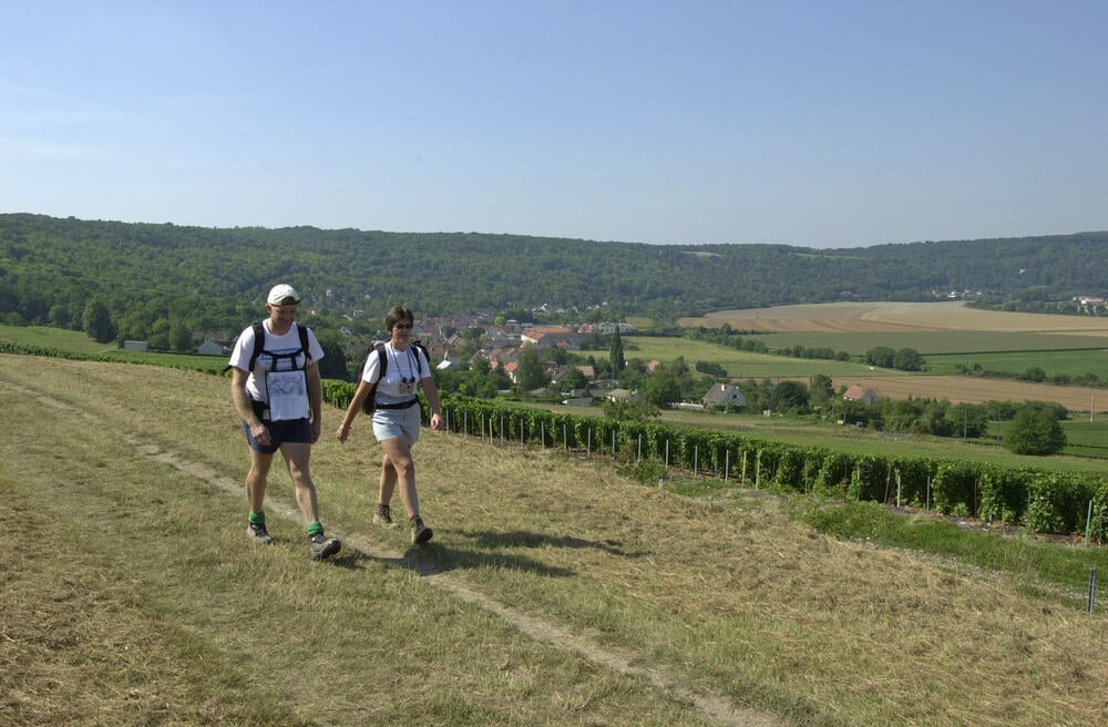 Point de vue sur Pavant et le vignoble de la Champagne picarde