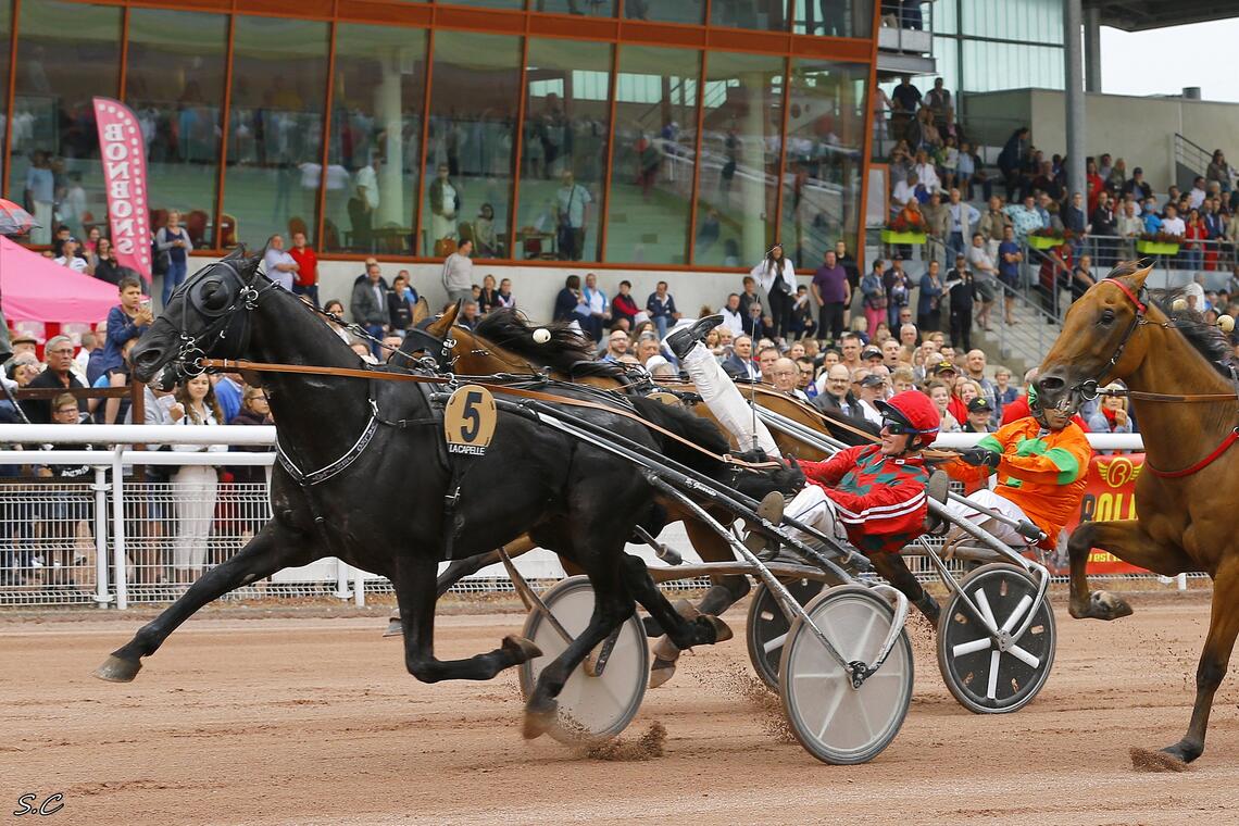 Epreuve du trot à Grande Vitesse