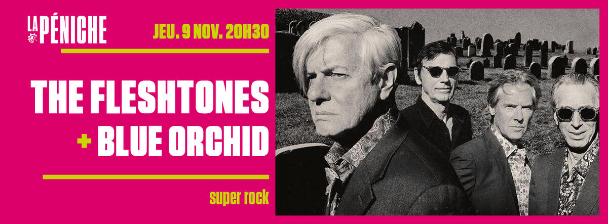 The Fleshtones