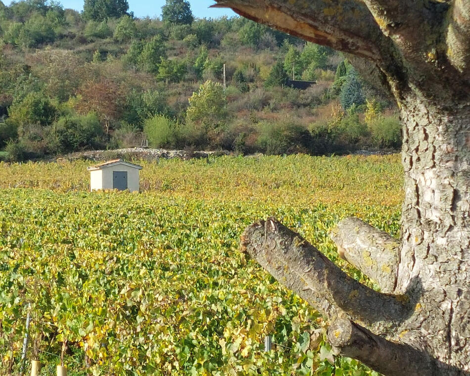 La Cabotte de Marissou