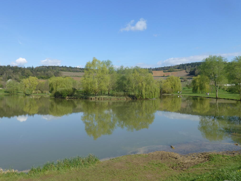 Mercurey-Etang du Pont Latin-2014