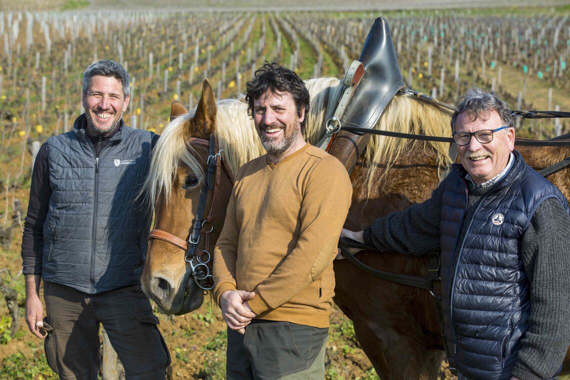 Saint Sernain du Plain - Domaine Chevrot - Oenologie - Viticulteurs - Dégustations @Th Gaudillère rd