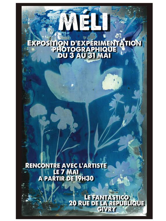 affiche MELI.jpg
