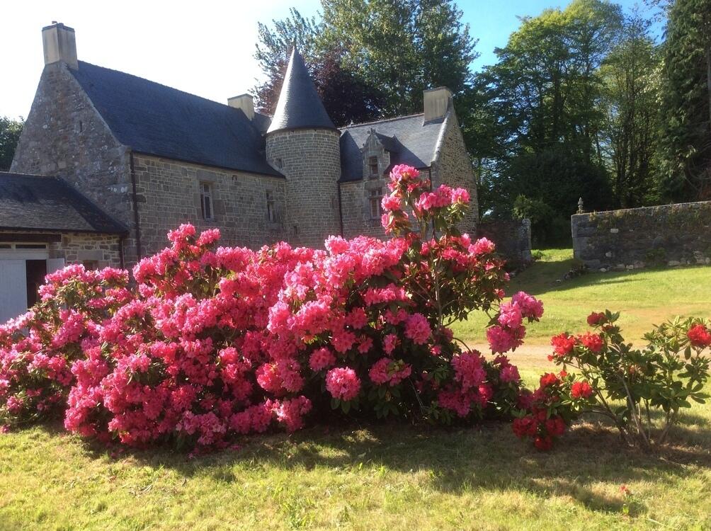 Manoir le Lézard