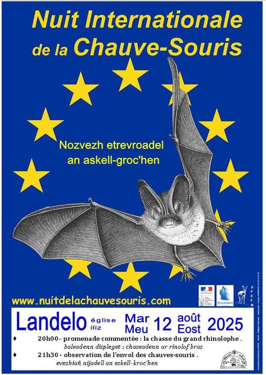 Nuit de la chauve-souris Landeleau 12 août
