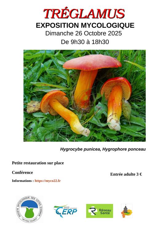 Affiche-2025-scaled