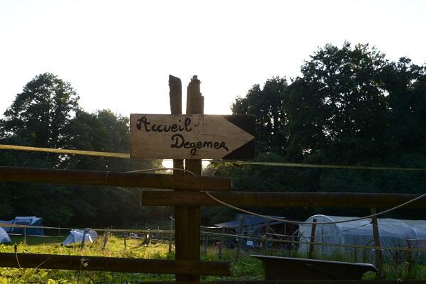 Bois du barde photo 2