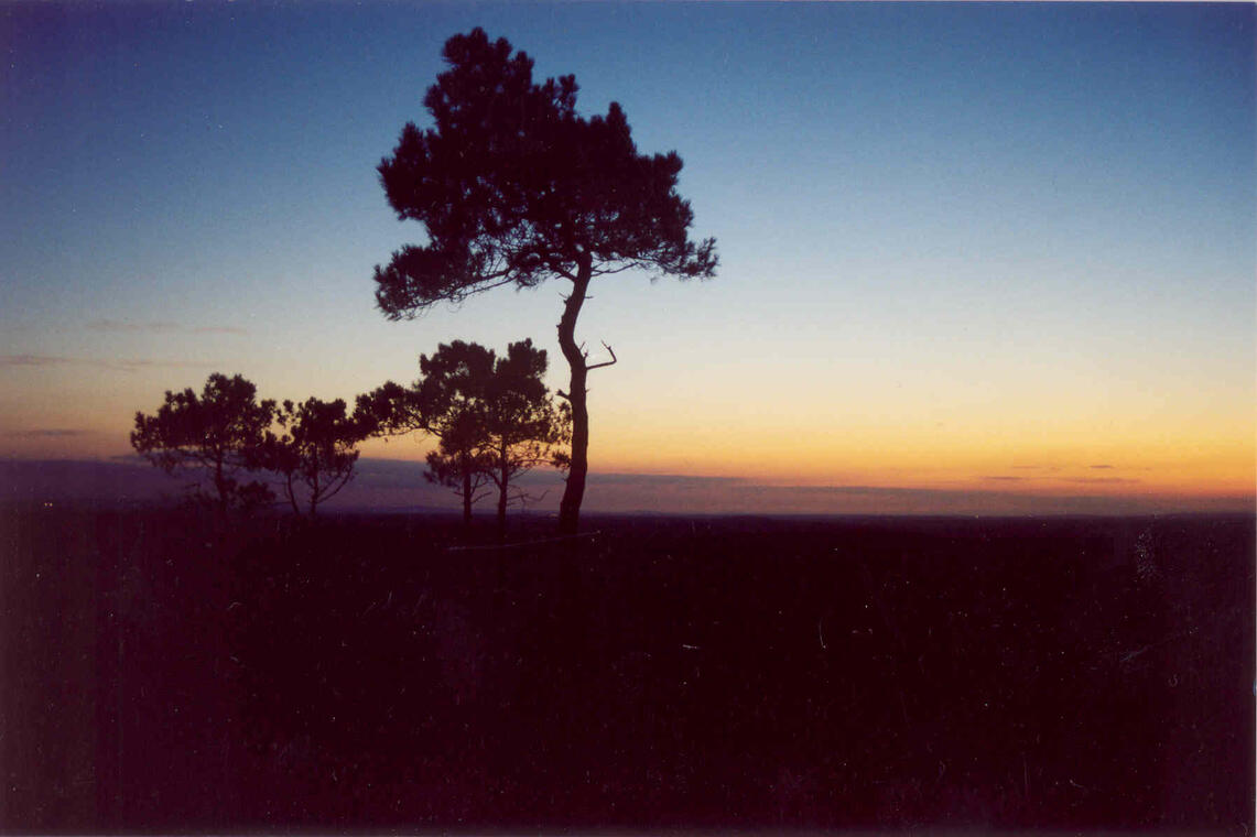 Landes de Locarn