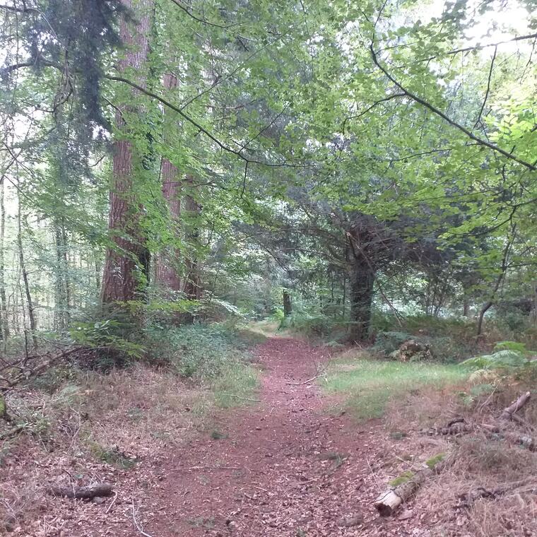 chemin