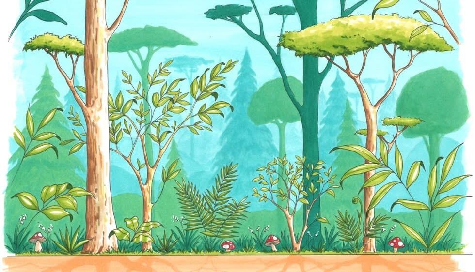 Exposition Forêt - Du 28 octobre au 22 novembre 2025 - Loudéac