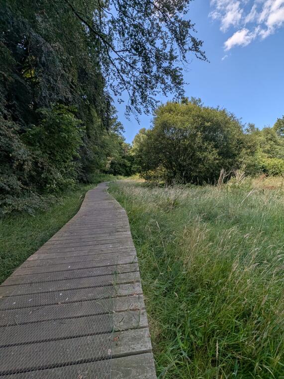 Grande échappée_Le Miel et l'Ével©Vallée du Blavet