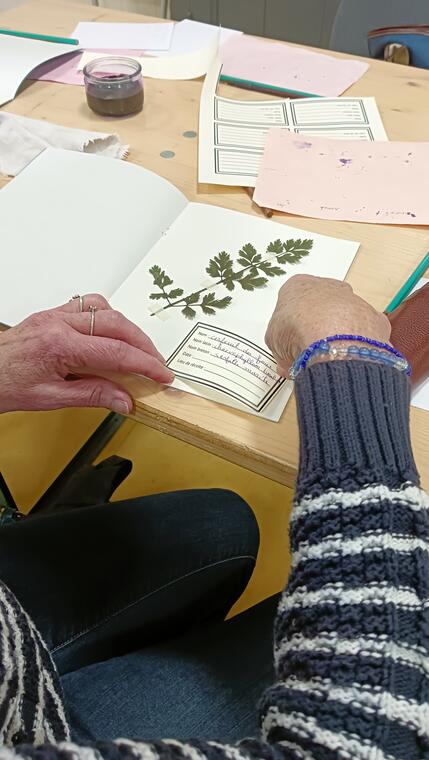 Herbier
