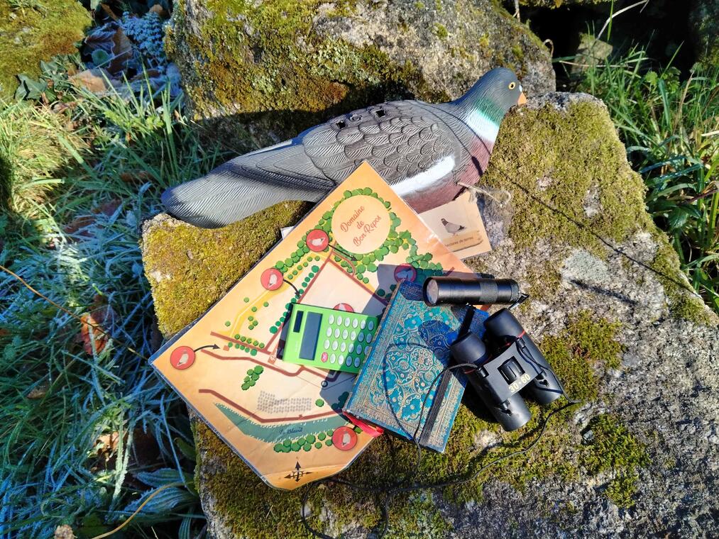 Jeu de piste Sauve-Pigeon l