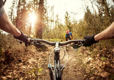 VTT_BD