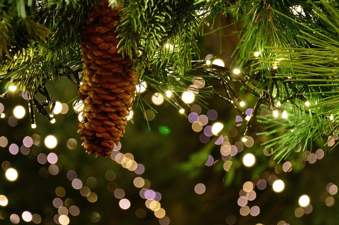 christmas-garland-Peggychoucair_Pixabay