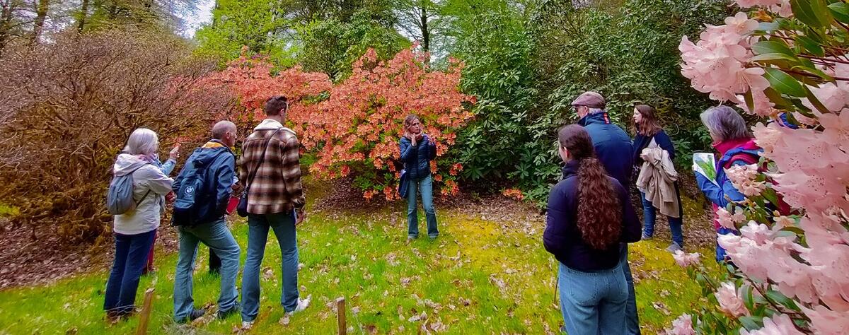 Sur les traces des chasseurs de plantes