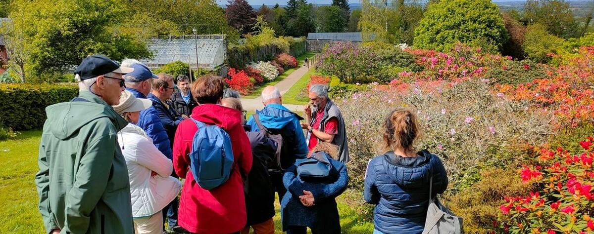 Visite botanique Le rhodo s'effeuille...