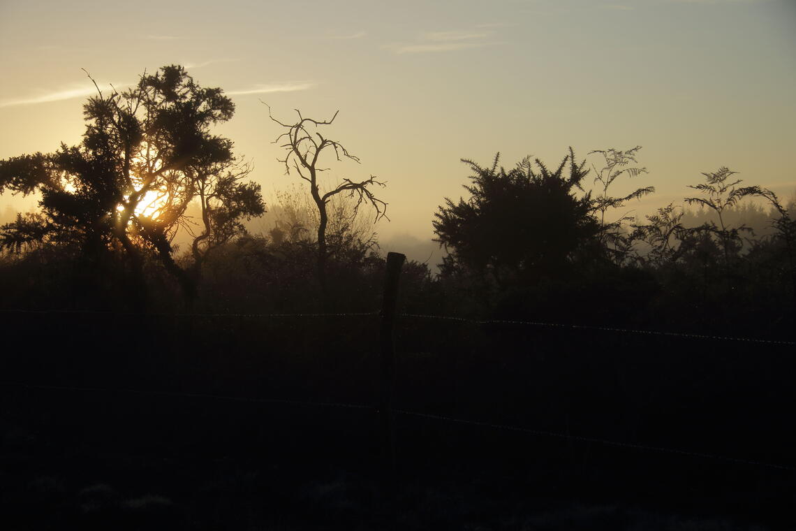 Landes de Locarn