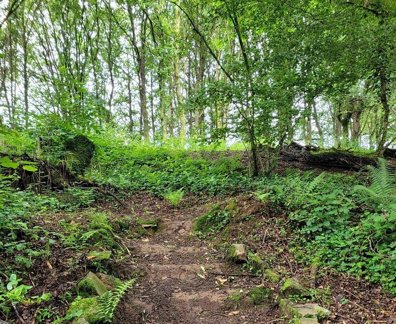 Trail_Plumelec