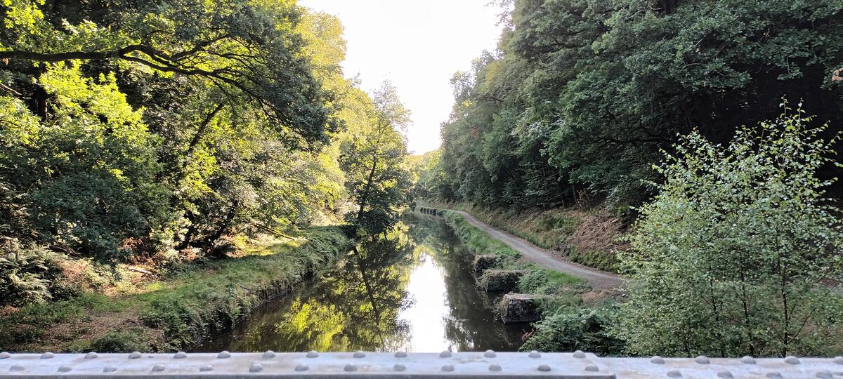 La tranchée vue de la passerelle
