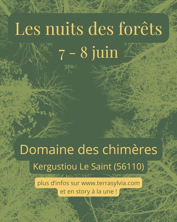 2025_Juin_LeSaint_Nuit_Forets