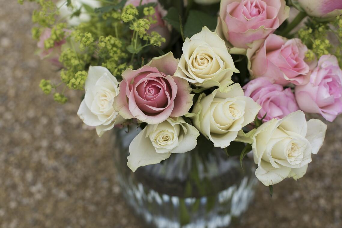 roses-1867911_1280