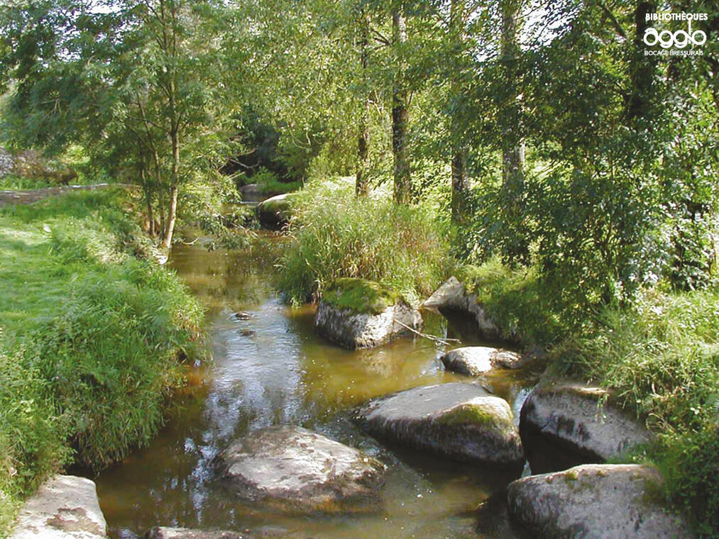 Balade en bords de sèvre