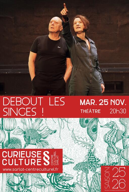 Debout les singes
