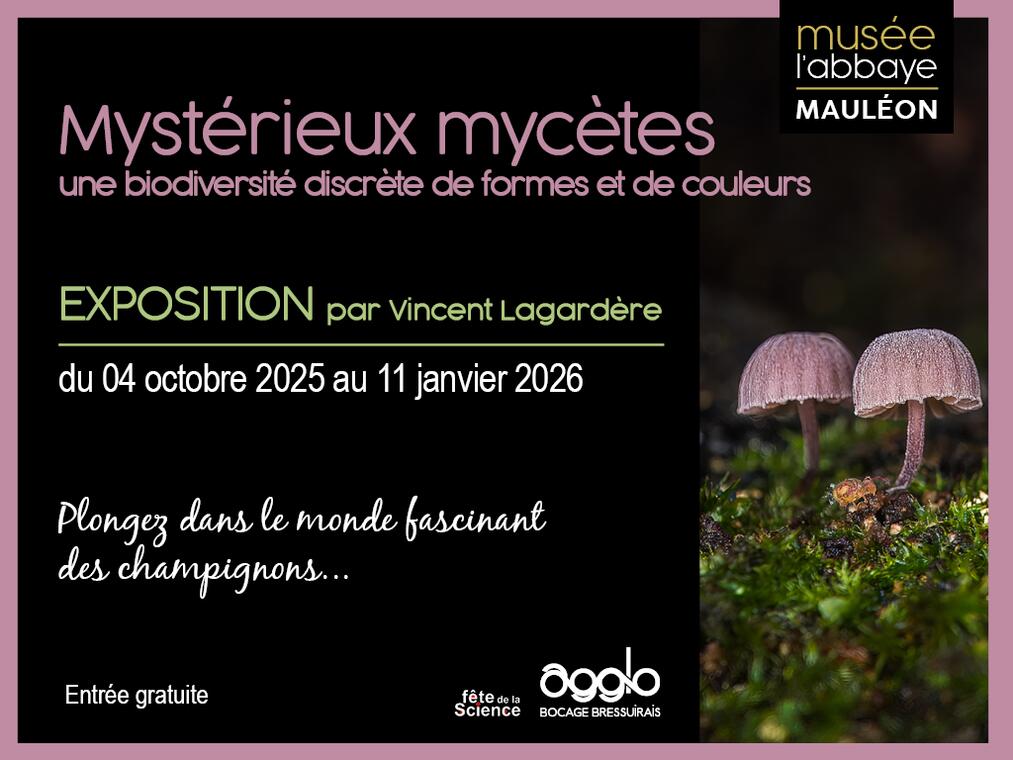 Exposition champignon Mauléon