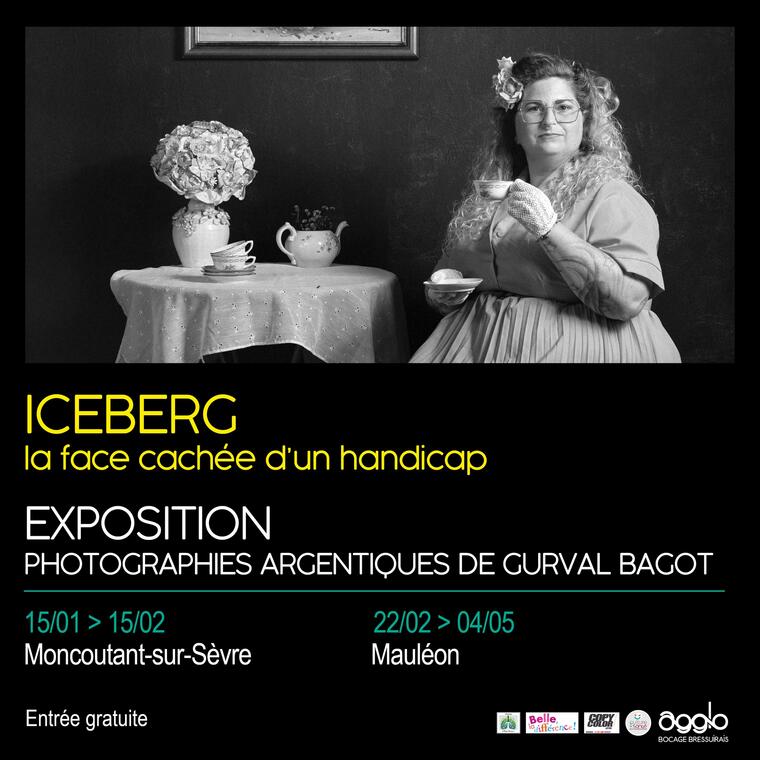 Exposition photographique iceberg