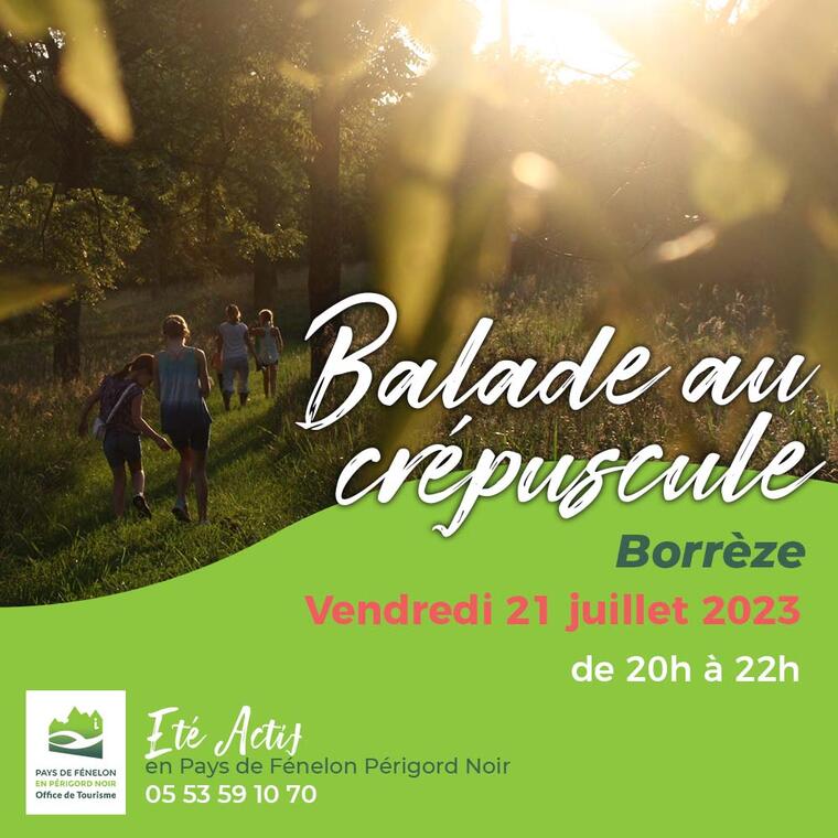 EA Balade Nocturne