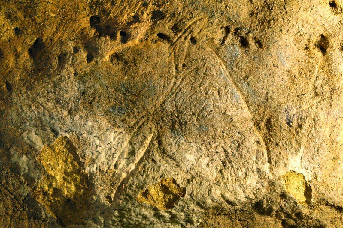 Grotte des Combarelles, Tête de cheval