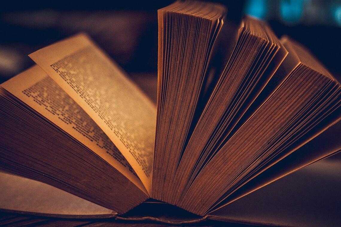 book©Petra de Pixabay