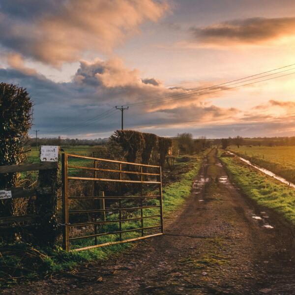 les paysages épongent