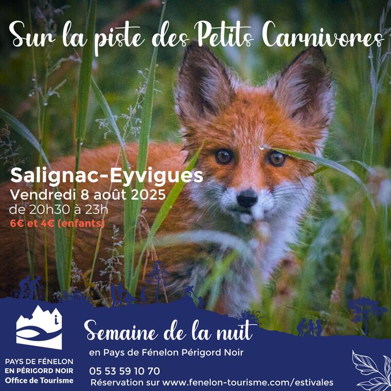 Visuels Estivales 2025 - 08/08 PETITS CARNIVORES