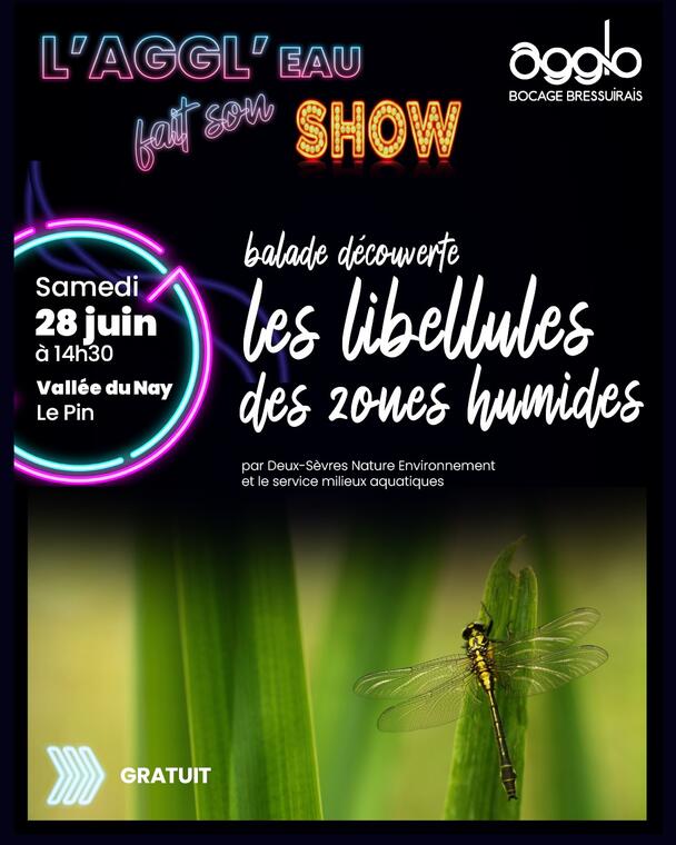 2500628-balade-libellules-le-pin