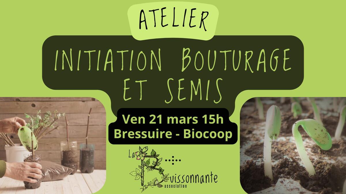 250321-la-buissonnante-bressuire