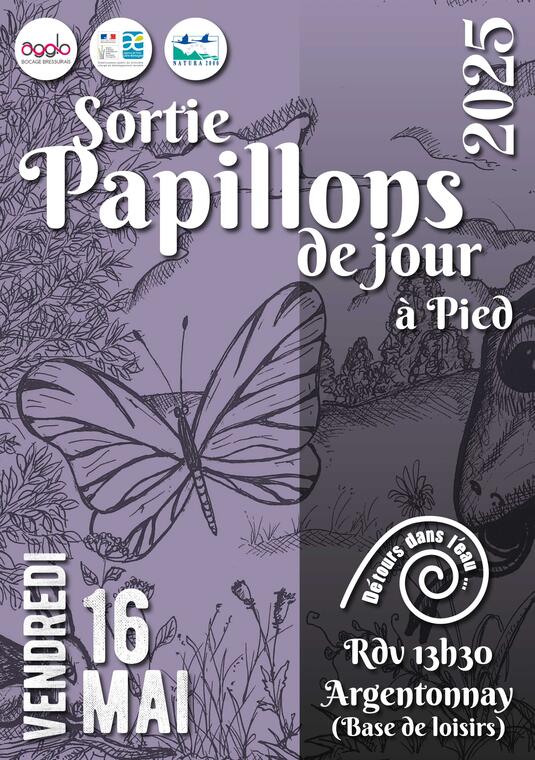 250516-sortie-papillons-argentonnay