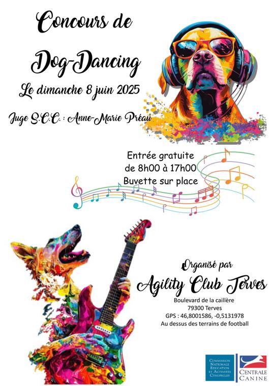 250608-dog-dancing-terves