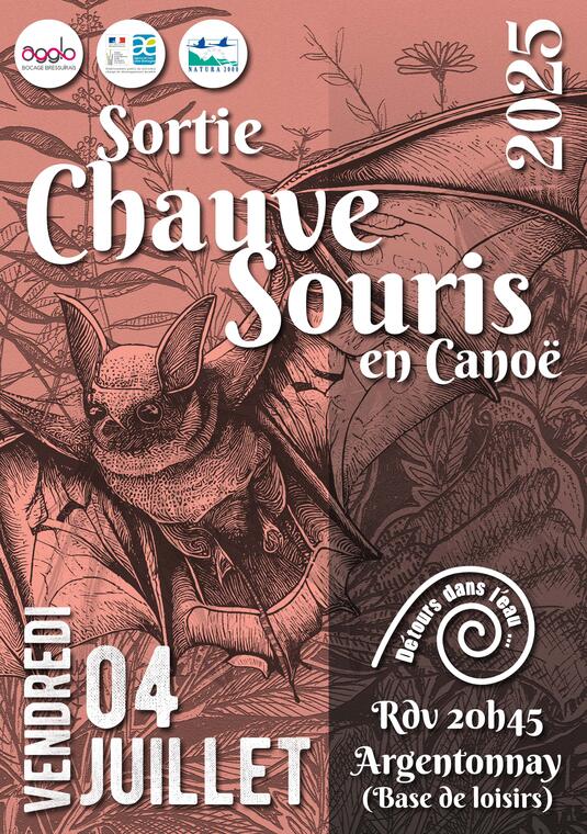250704-chauve-souris-canoë-argentonnay