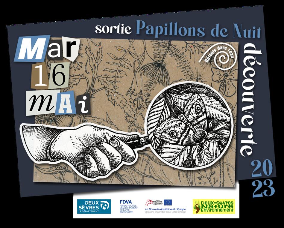 230516-sortie-papillons-argentonnay